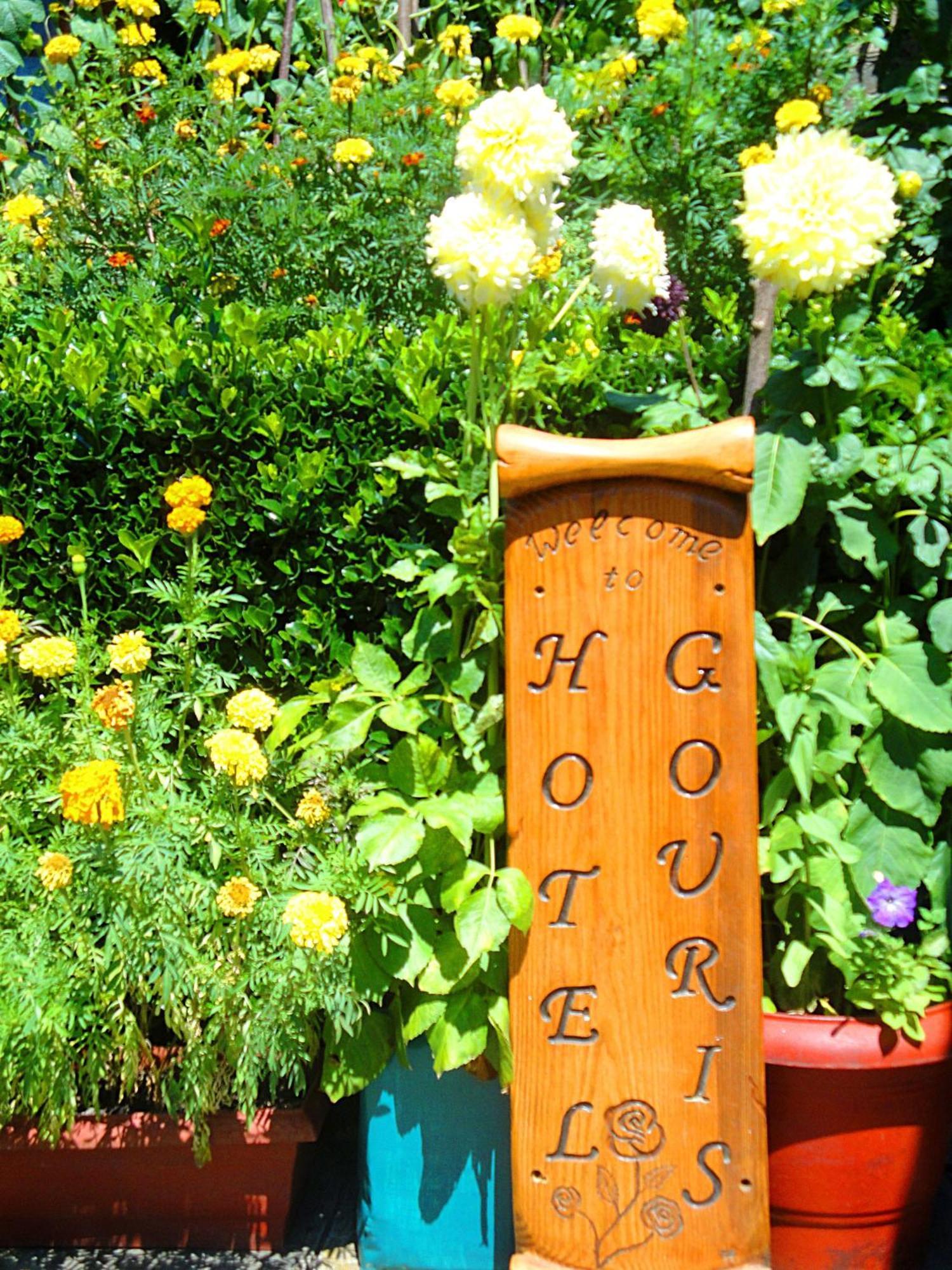 Guesthouse Gouris Tsepelovo Eksteriør billede